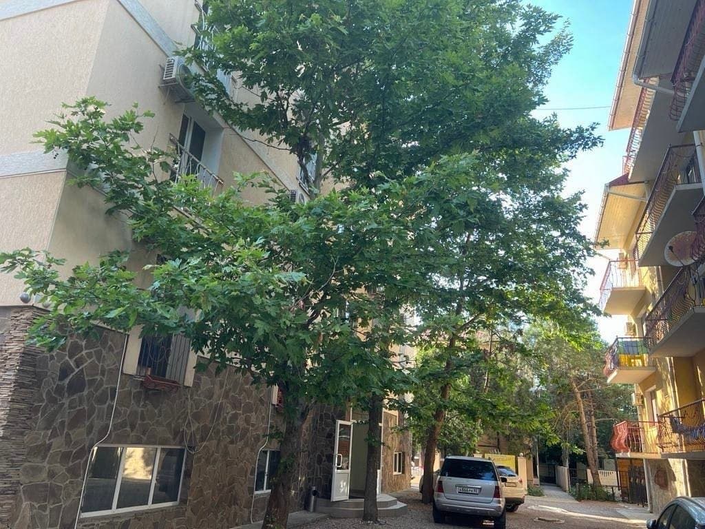 Изумруд Саки — фото 1